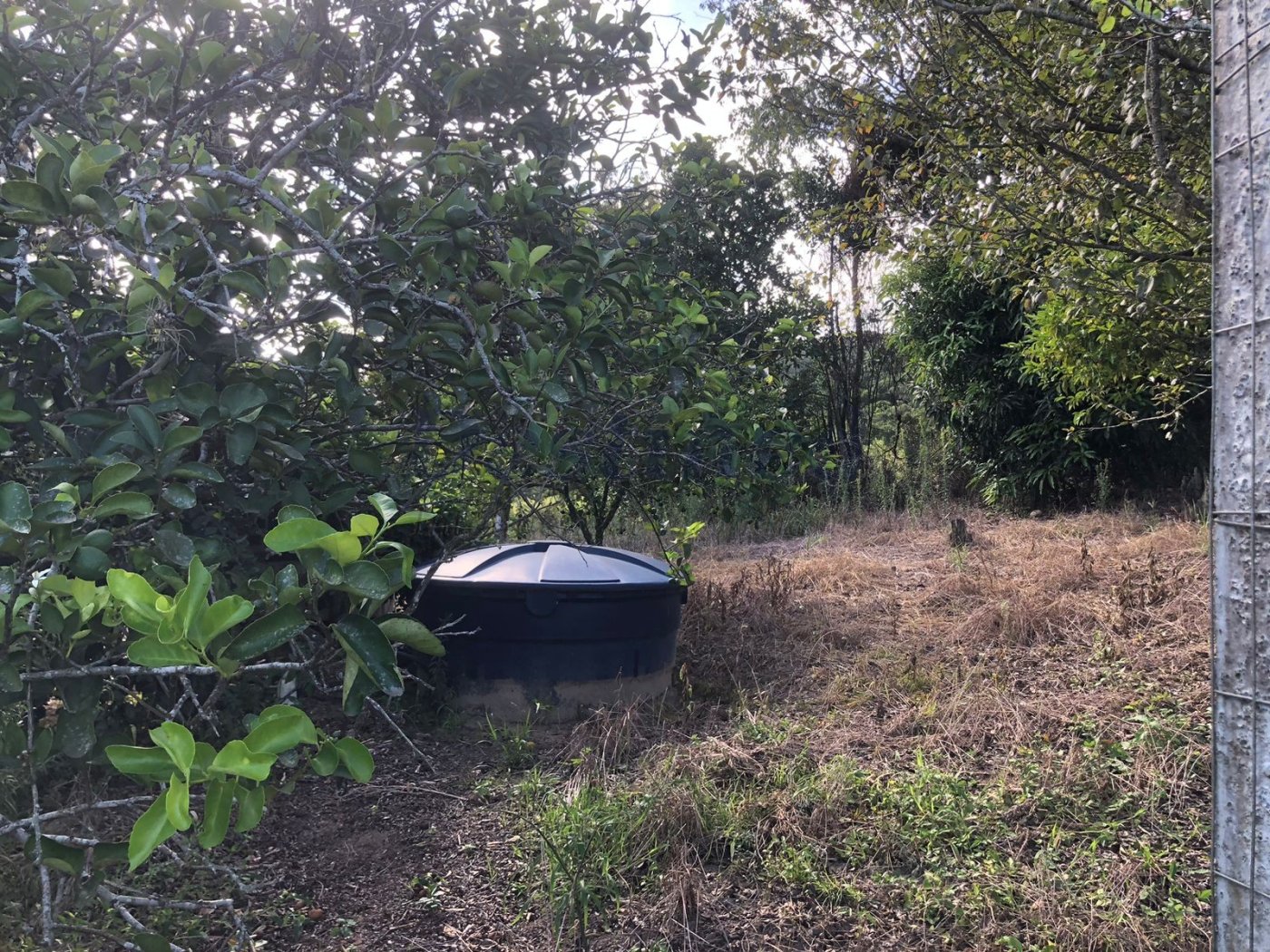 Terreno para Venda no bairro Centro em Rolante