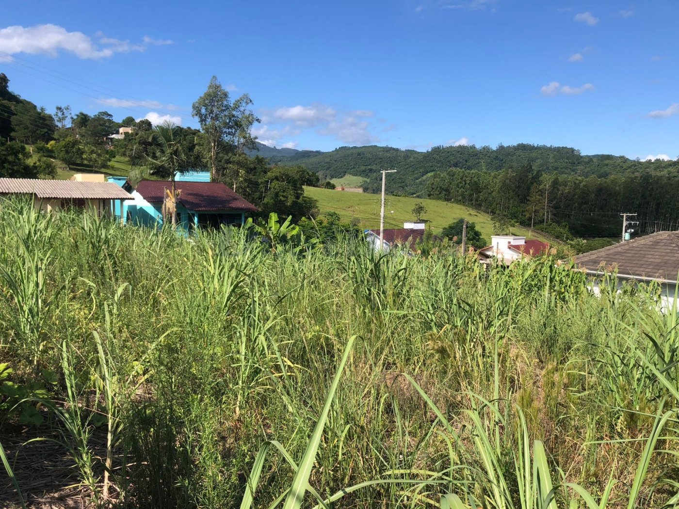 Terreno para Venda no bairro Centro em Rolante