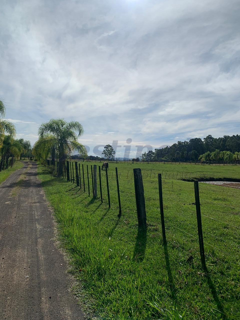 Sítio / Chácara 3 quartos para Venda no bairro Lomba Grande em Novo Hamburgo