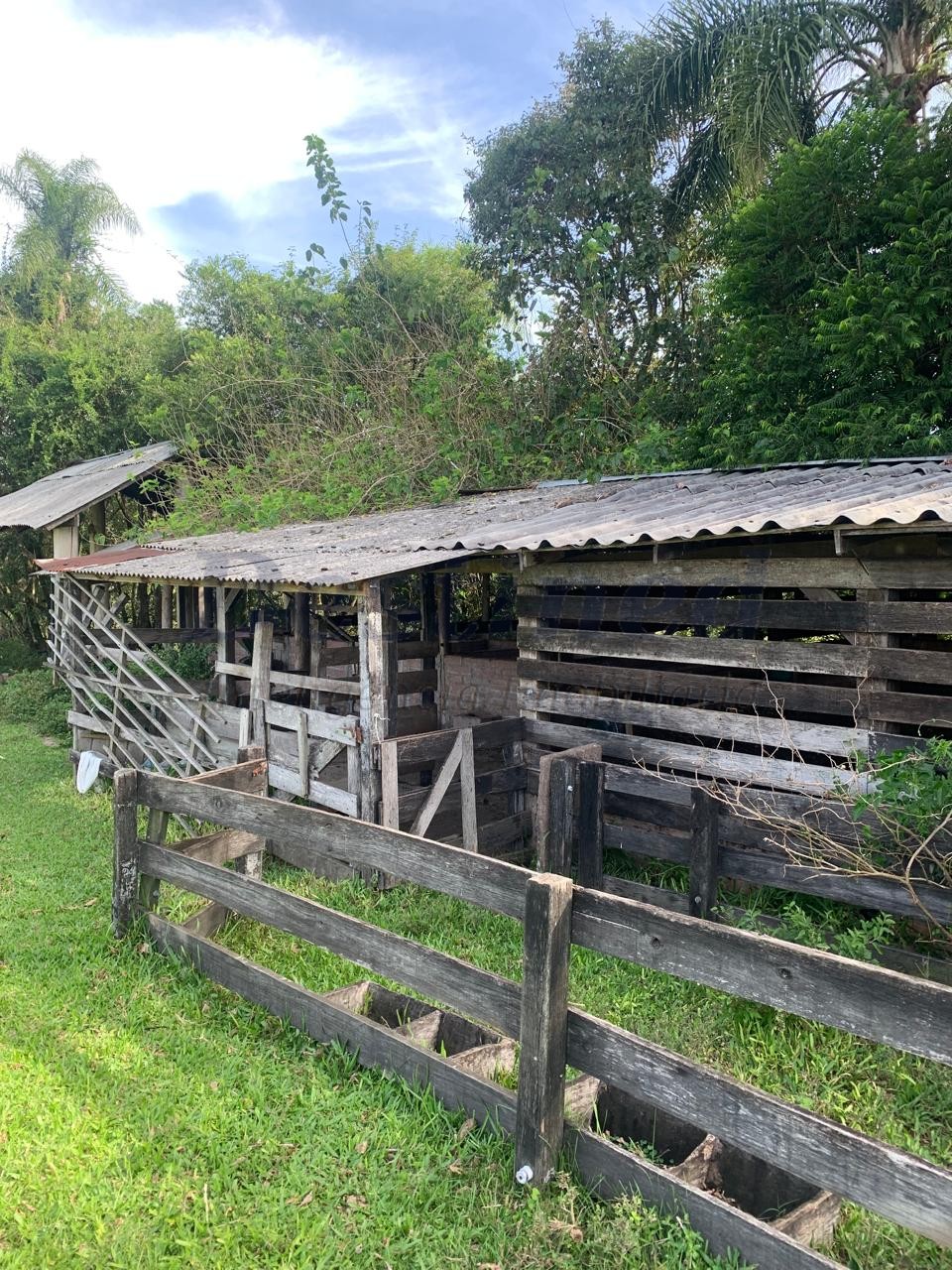 Sítio / Chácara 3 quartos para Venda no bairro Lomba Grande em Novo Hamburgo