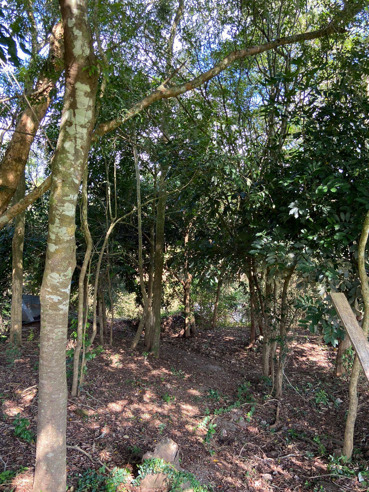 Sítio para venda no bairro Areia Branca em Parobé