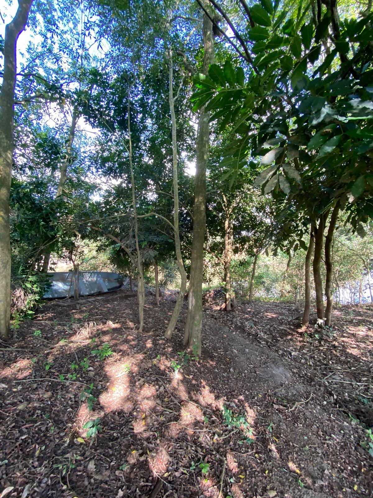 Sítio para venda no bairro Areia Branca em Parobé
