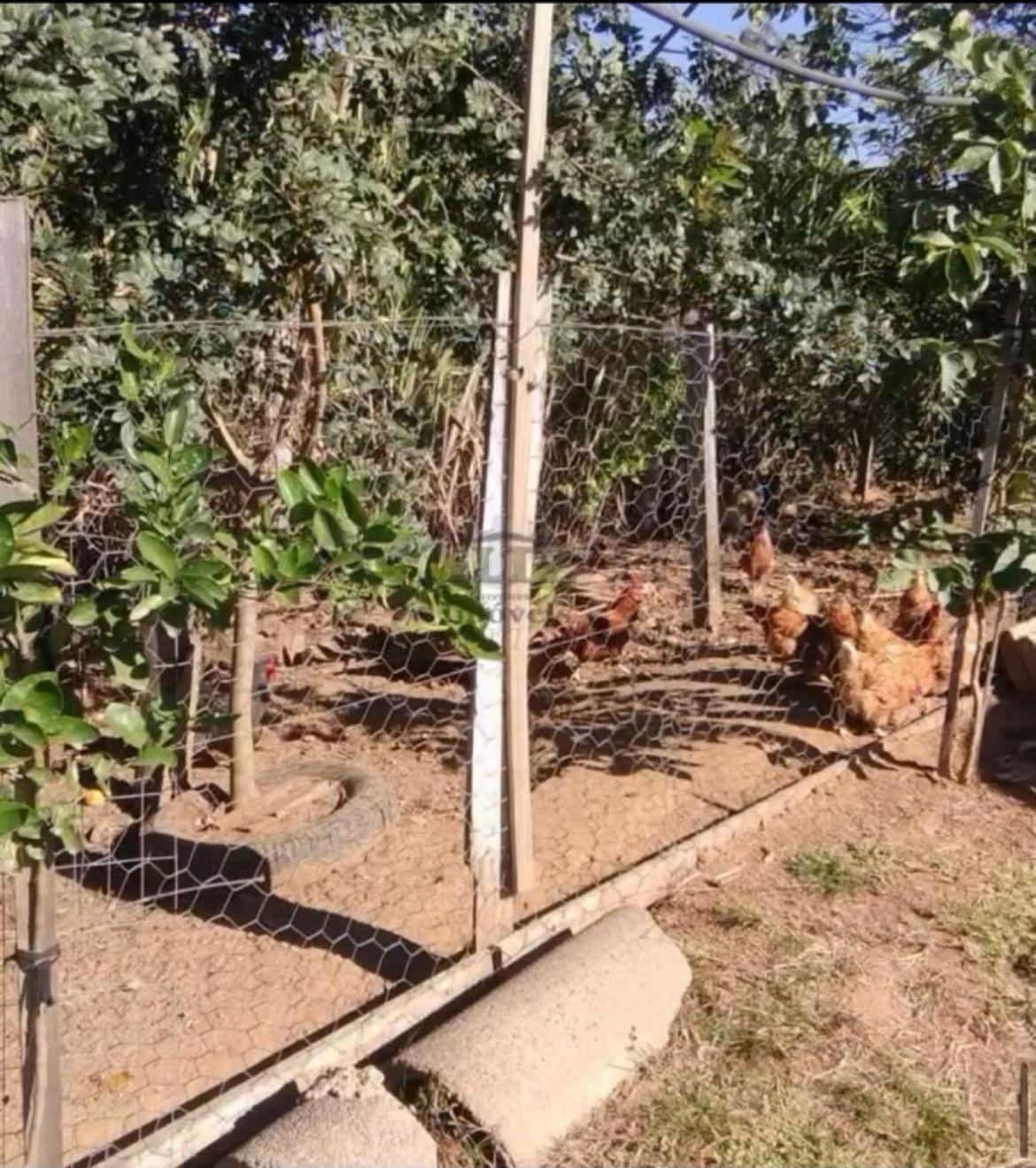 Chácara em Araricá com  5.000 m² de pura tranquilidade e lazer! 