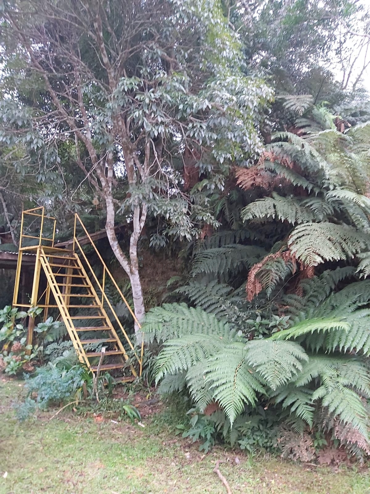 Terreno para Venda em São Francisco de Paula