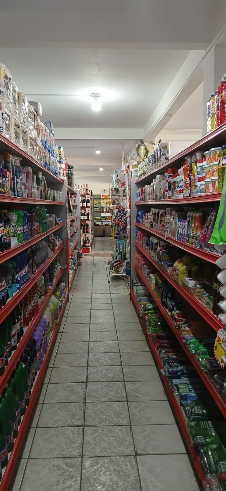 Imóvel Comercial 5 quartos para Venda no bairro Ingleses do Rio Vermelho em Florianópolis