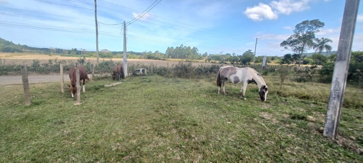Sítio / Chácara 2 quartos para Venda no bairro Espigão da Pedra em Maracajá