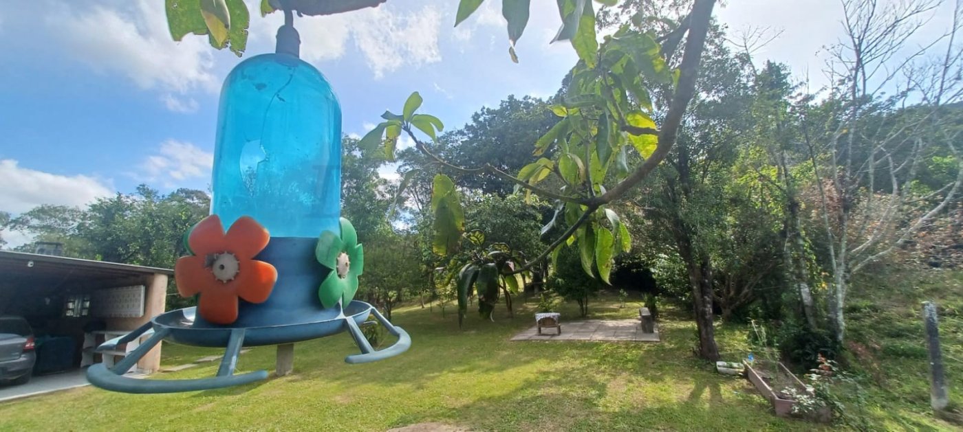 Sítio / Chácara 2 quartos para Venda no bairro Hercílio Luz em Araranguá