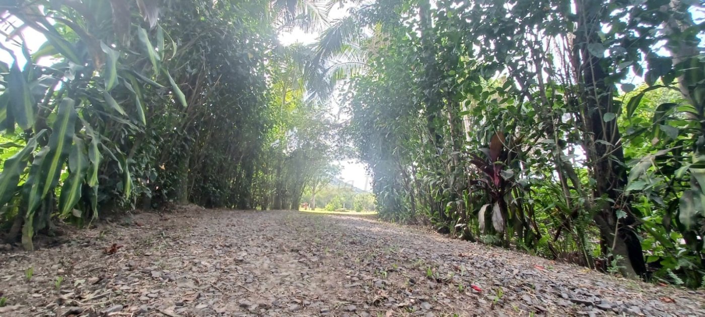 Sítio / Chácara 2 quartos para Venda no bairro Hercílio Luz em Araranguá