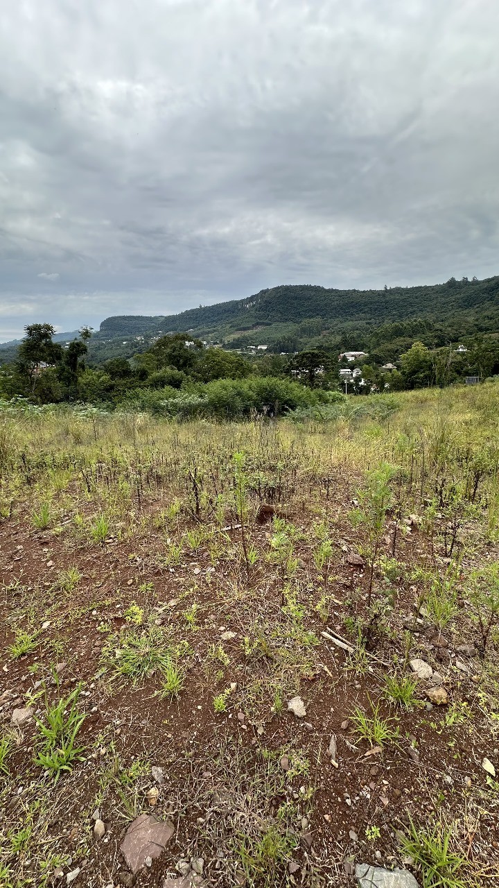 Terreno para Venda no bairro Várzea Grande 1º de Maio em Gramado