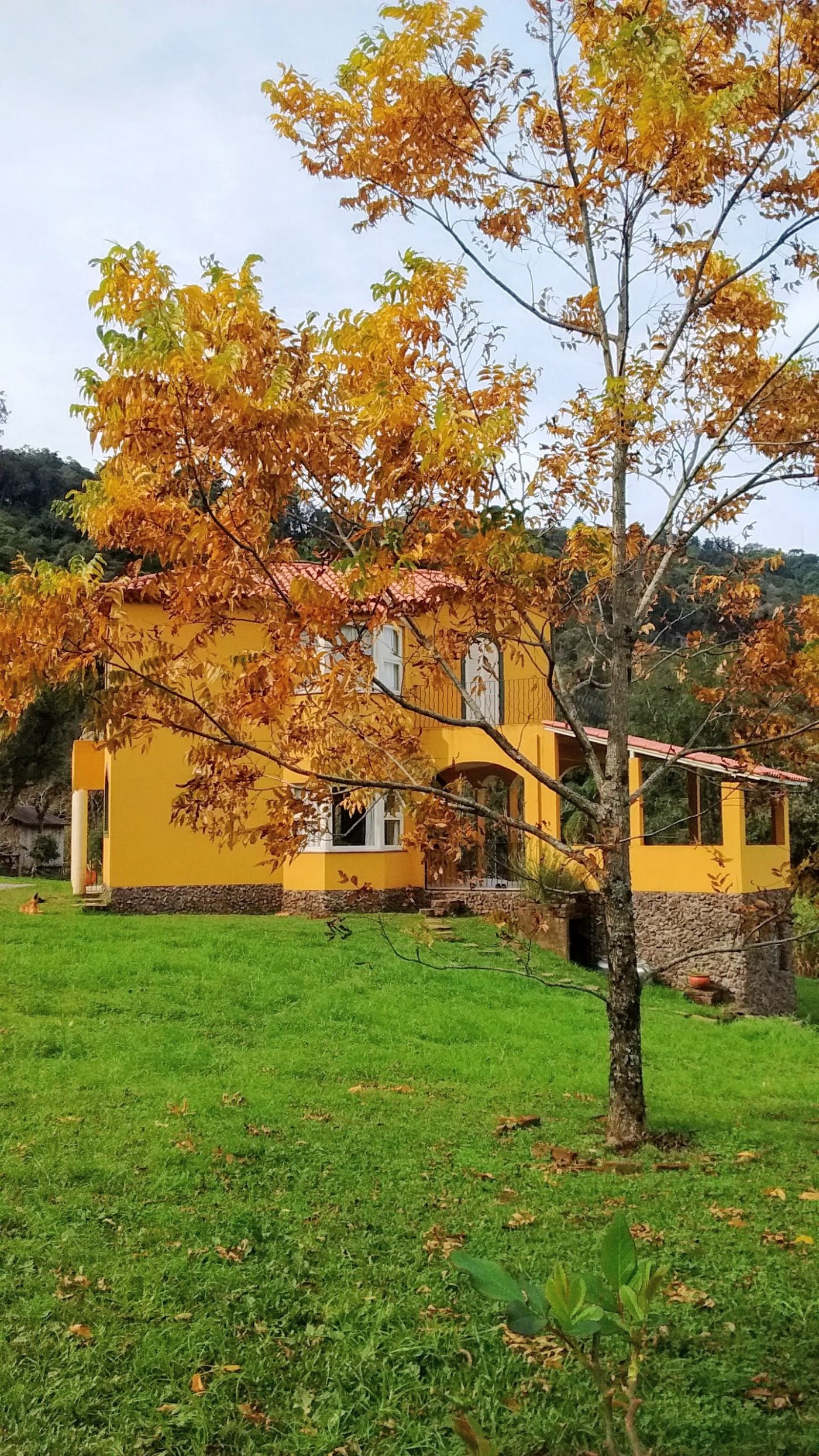 Casa 4 quartos para Venda no bairro Paradouro em Morro Reuter