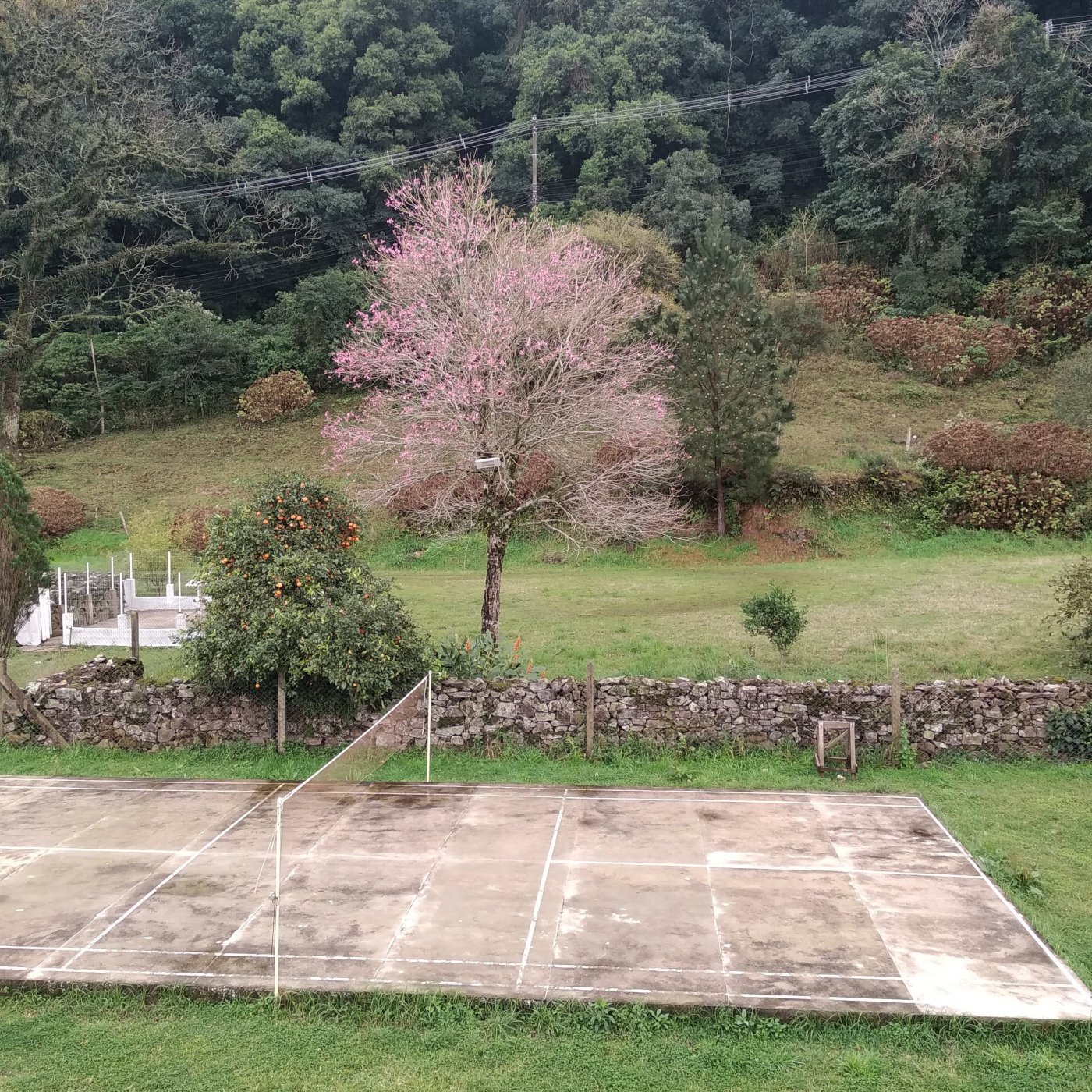 Casa 4 quartos para Venda no bairro Paradouro em Morro Reuter