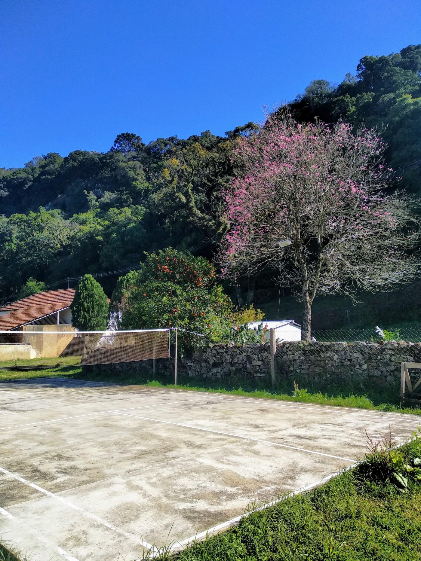 Casa 4 quartos para Venda no bairro Paradouro em Morro Reuter
