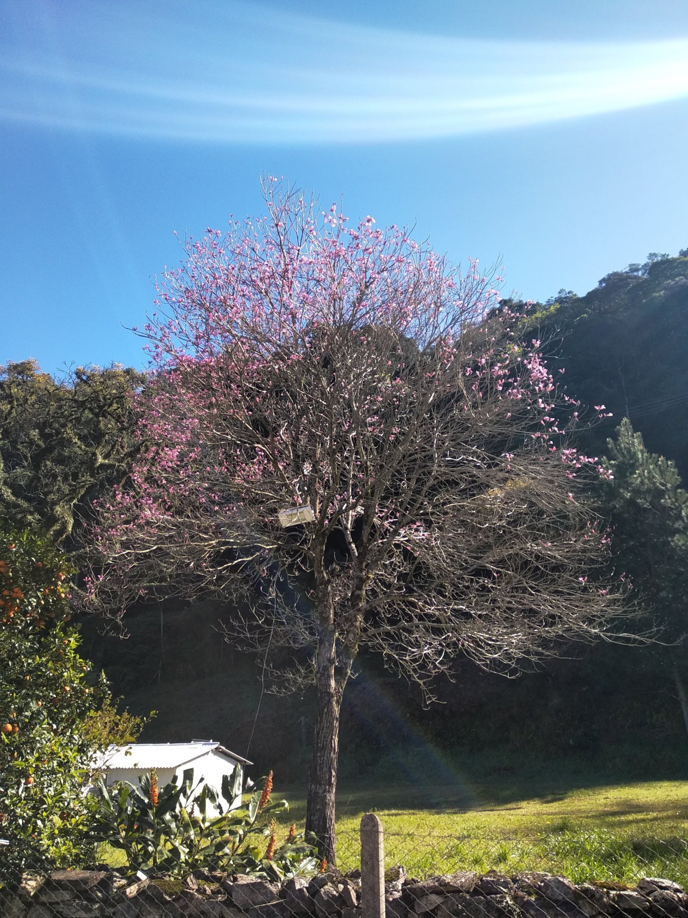 Casa 4 quartos para Venda no bairro Paradouro em Morro Reuter