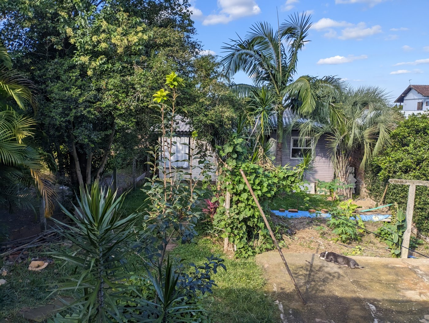 Casa 2 quartos para Venda no bairro Canudos em Novo Hamburgo