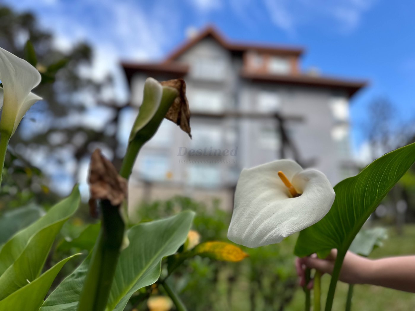 Apartamento 2 suítes para Venda no bairro Centro em Gramado