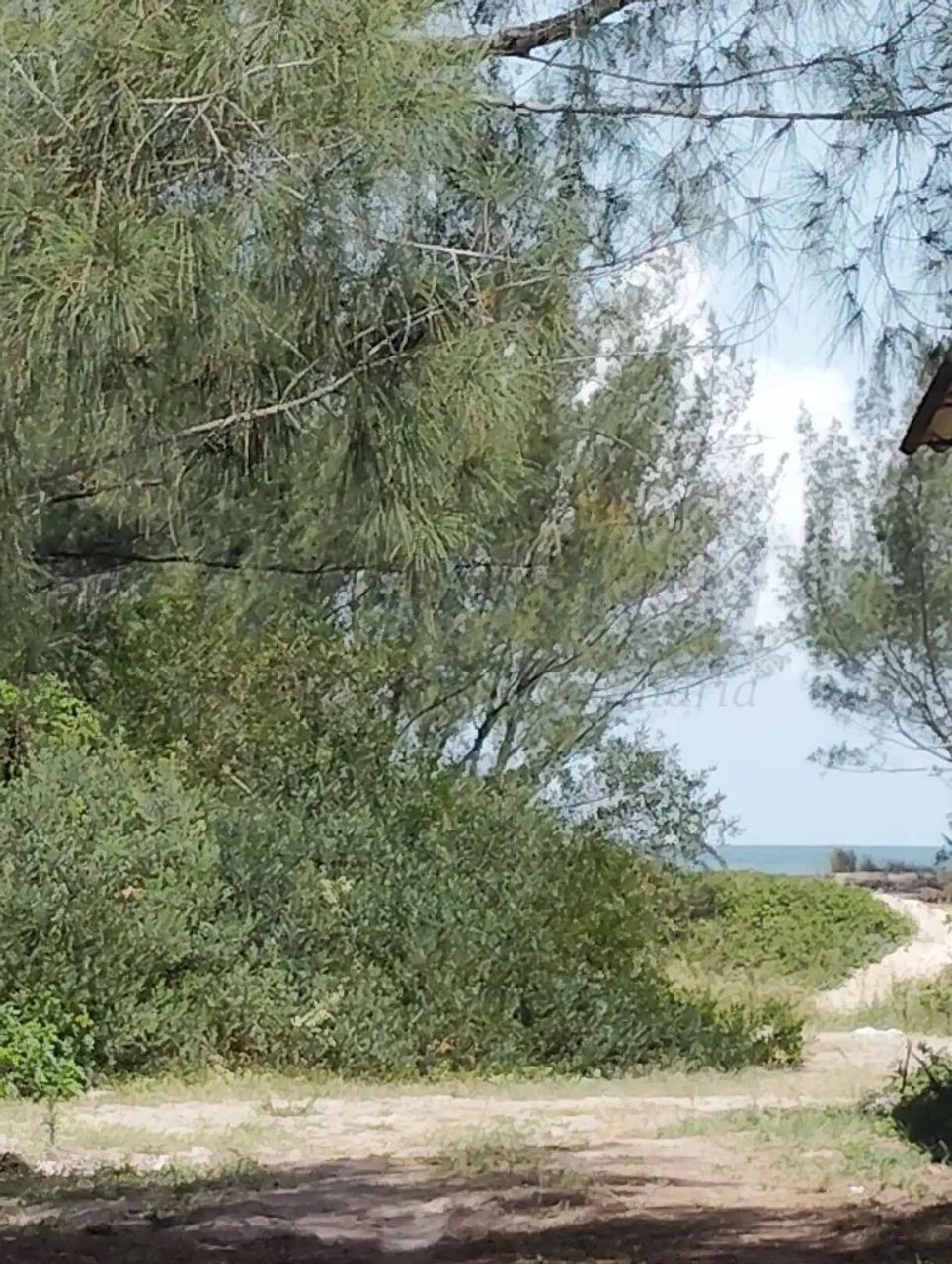 Casa 3 quartos para Venda no bairro capao nova  em Capão da Canoa