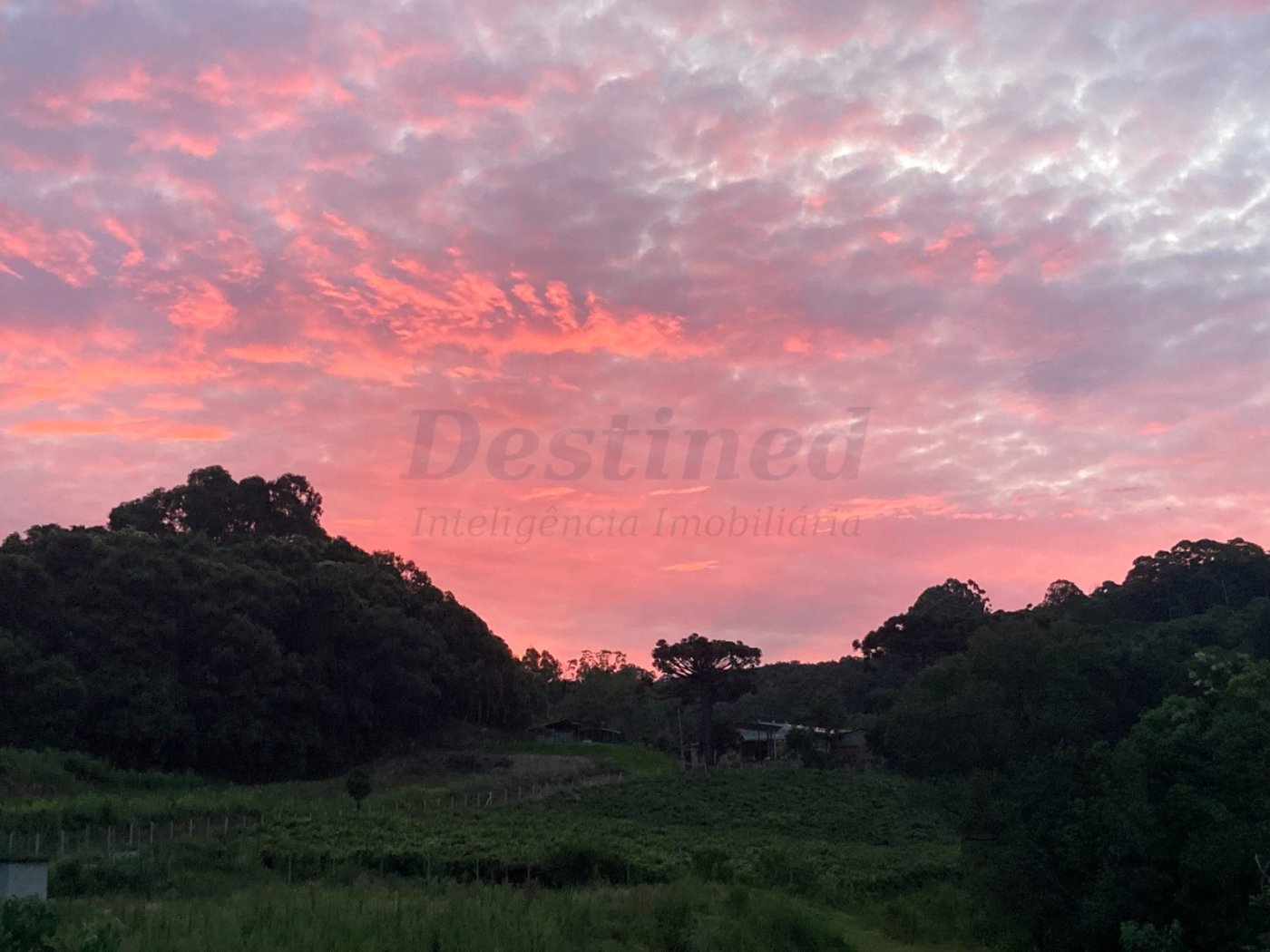 Chácara de 70.350,51 m² para venda em Flores da Cunha