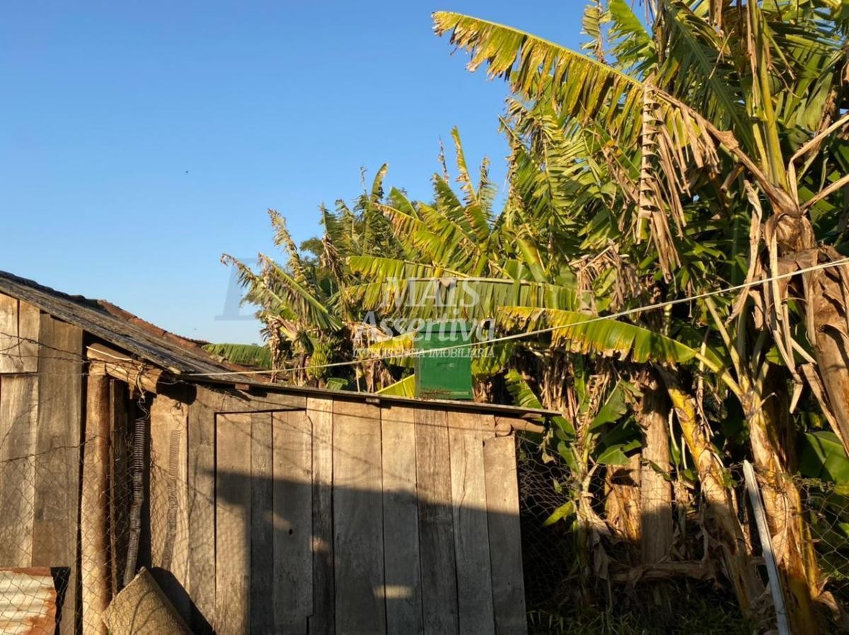 Sítio / Chácara 5 quartos para Venda no bairro Fazenda Fialho em Taquara