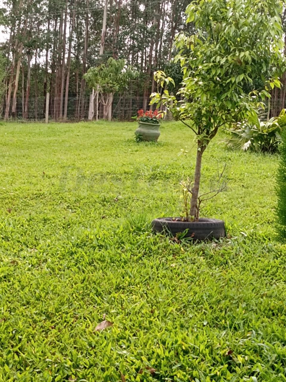 Sítio / Chácara 2 quartos para Venda no bairro Centenário em Sapiranga