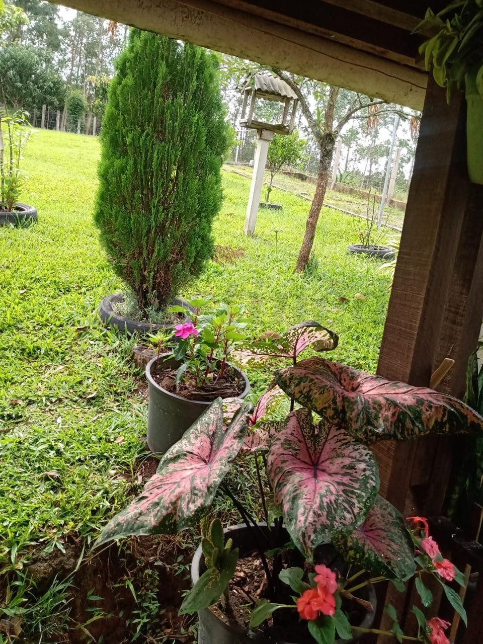 Sítio / Chácara 2 quartos para Venda no bairro Centenário em Sapiranga