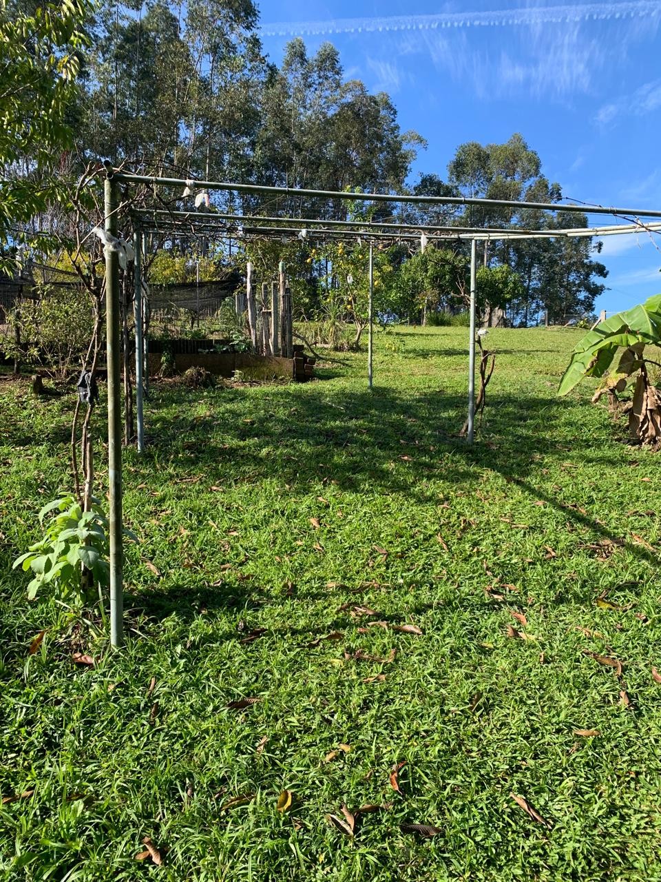 Sítio / Chácara 2 quartos para Venda no bairro Centenário em Sapiranga