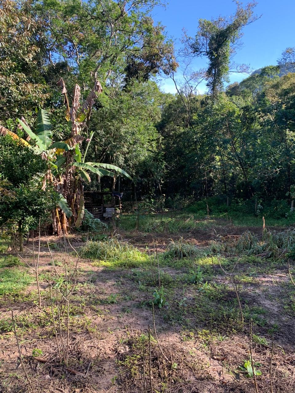 Sítio / Chácara 2 quartos para Venda no bairro Centenário em Sapiranga