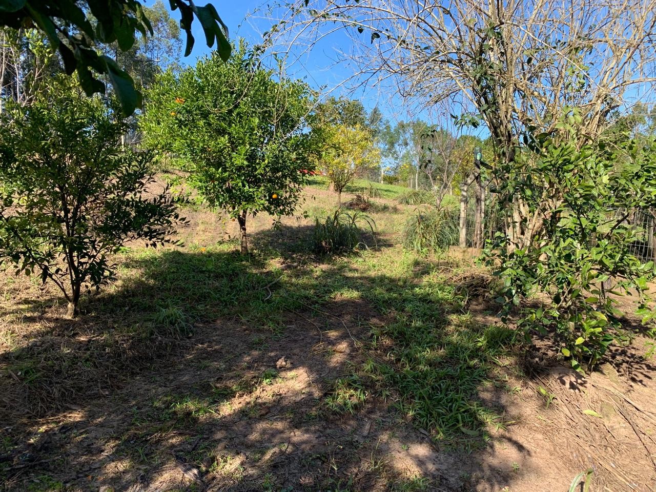 Sítio / Chácara 2 quartos para Venda no bairro Centenário em Sapiranga