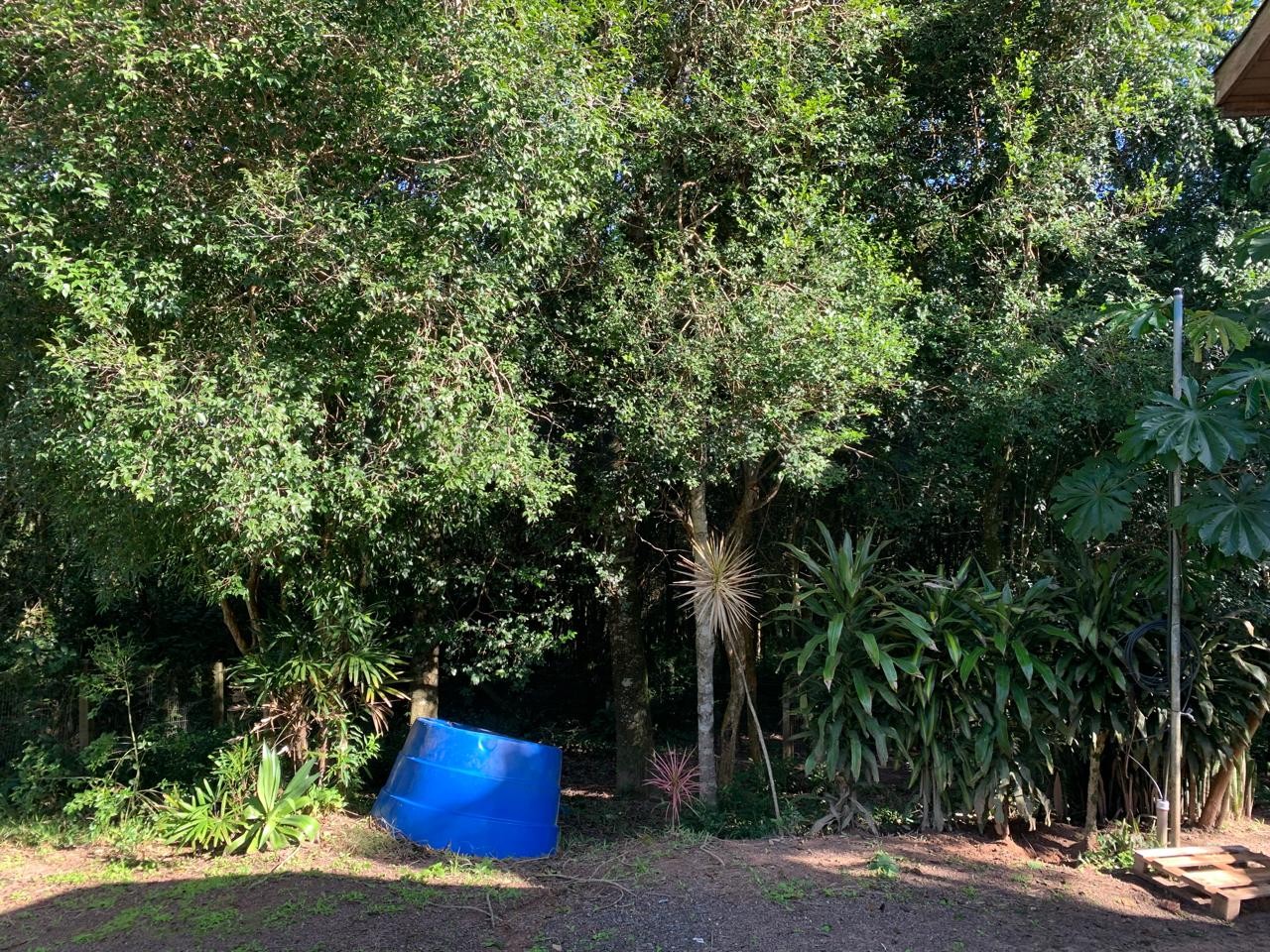 Sítio / Chácara 2 quartos para Venda no bairro Centenário em Sapiranga