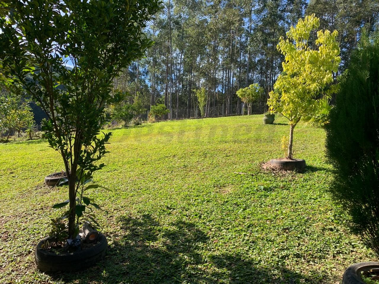 Sítio / Chácara 2 quartos para Venda no bairro Centenário em Sapiranga