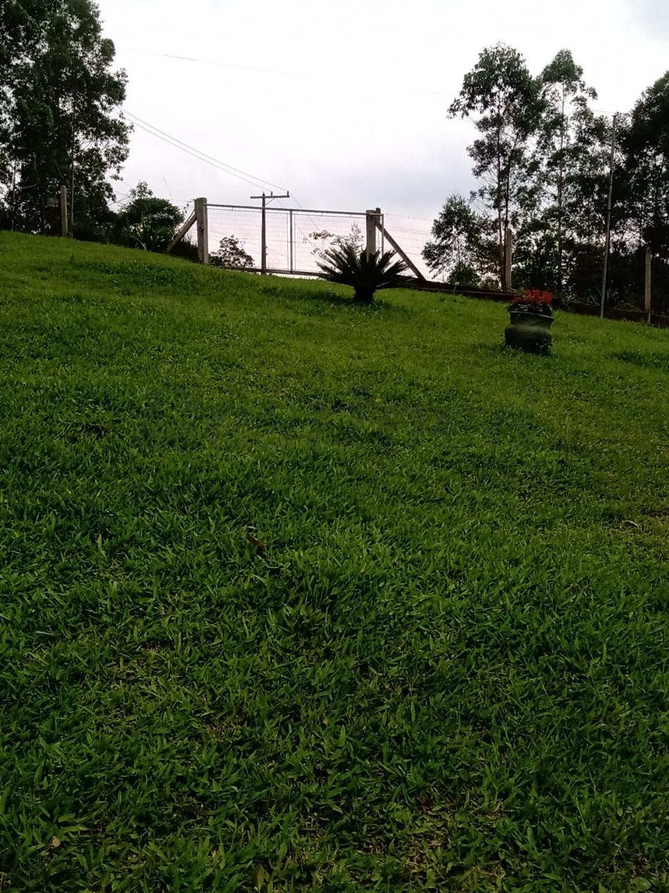 Sítio / Chácara 2 quartos para Venda no bairro Centenário em Sapiranga
