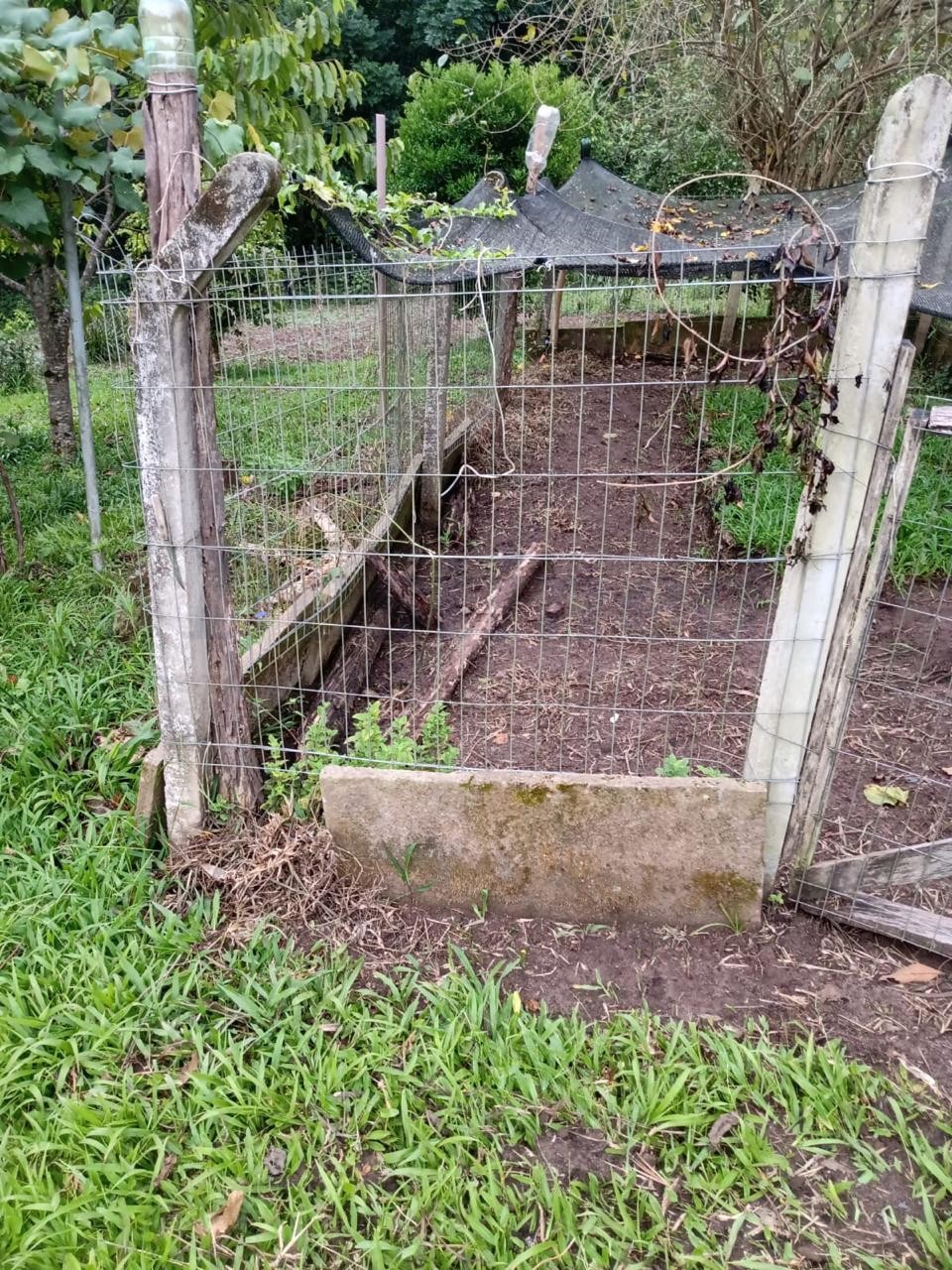 Sítio / Chácara 2 quartos para Venda no bairro Centenário em Sapiranga